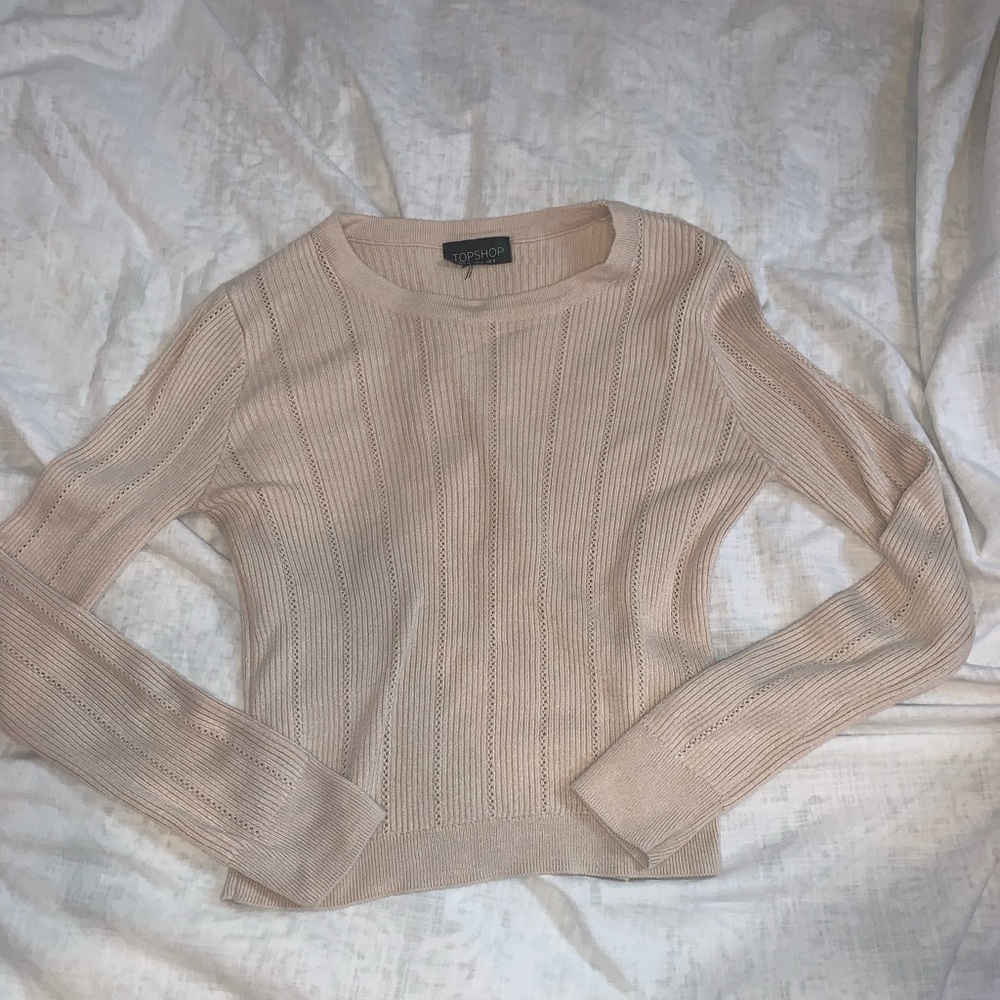 Long sleeve light pink cropped sweater
